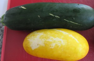cooking with summer squash